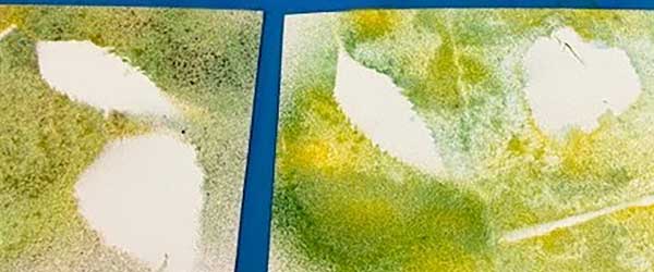 Youth Program Leaf Painting Artwork